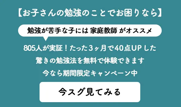 発達障害の子のための家庭教師