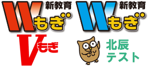 模試