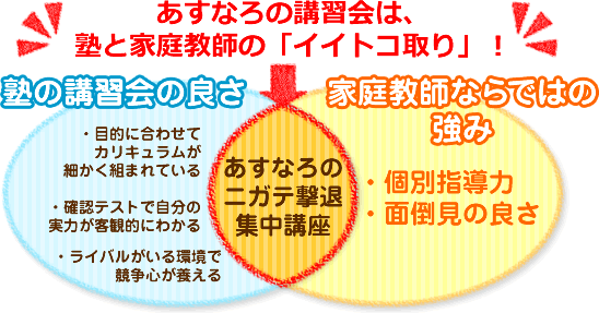 あすなろの講習会は、塾と家庭教師の「イイトコ取り」!